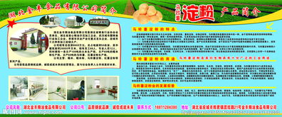 金豐食品圖片 解析食品經(jīng)營中的視覺營銷與合規(guī)管理